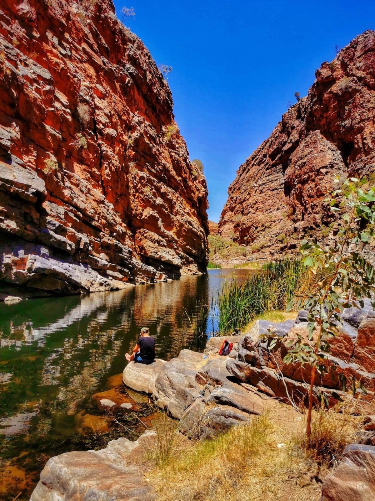 RUBY GAP NATURE PARK – Paradise Found in Central Australia